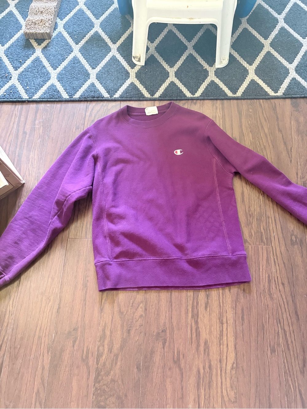 90’s champion reverse weave sweatshirt